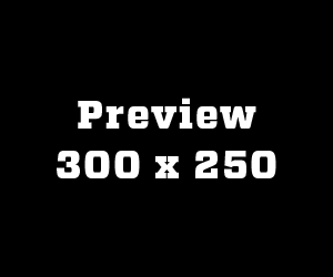 300x250